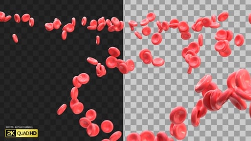 3D Red Blood Cells Flowing in a Medical Stream | Alpha Channel