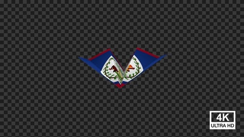 Animated Belize Flag with 3D Folding Effect