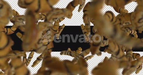 Falling Striped Croissant Shapes Filling the Screen