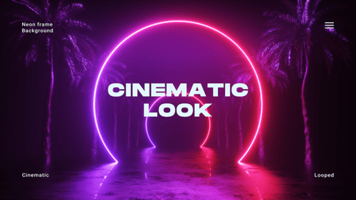 Neon Frames And Palm Trees Synthwave Loop