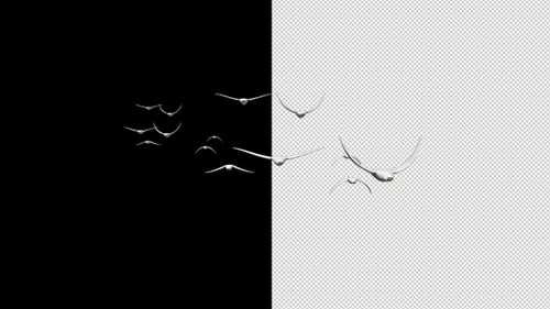 Flying Bird Front View V.2