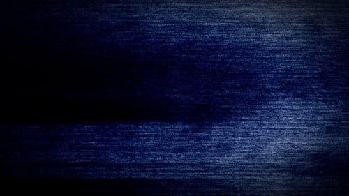 A collection of analog static noise textures. Suitable for use as overlays or backgrounds. Full HD