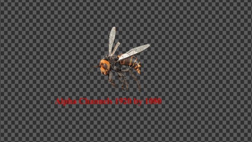 Bee Fly Alpha Channels