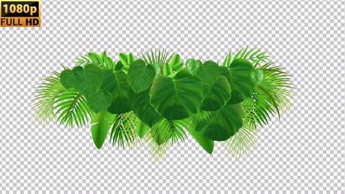 Tropical Leaves New | Alpha Channel