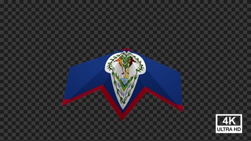 Belize Flag 3D Folding Animation Reveal