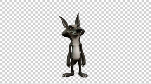 Coyote Cartoon Roll Animation Front View