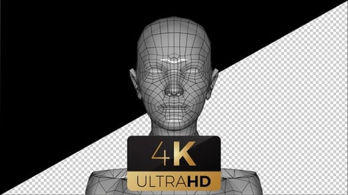 Animated 3D Wireframe Human Head Reveal