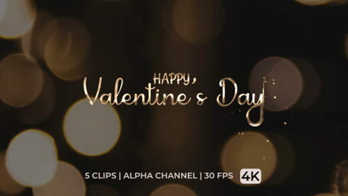 Happy Valentine's Day Elegant Script Text Animation