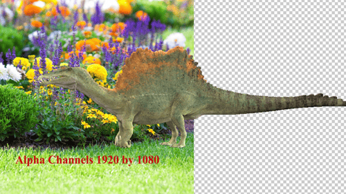 Spinosaurus Walking Transparent Background 3D Animation