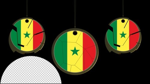 Dynamic Flag Circle Opener Animation