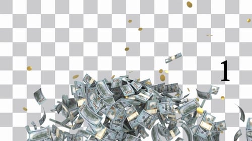 Flow-Pack für Dollar und Goldmünzen