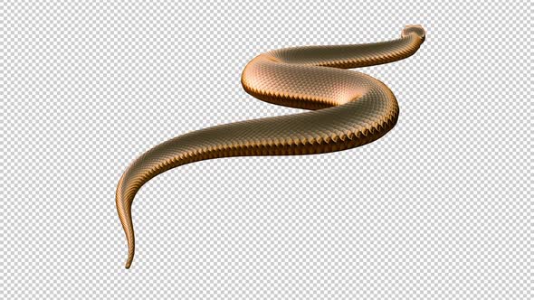 Golden Snake - Fantasy Serpent - Ground Slithering Loop - Back Angle CU ...