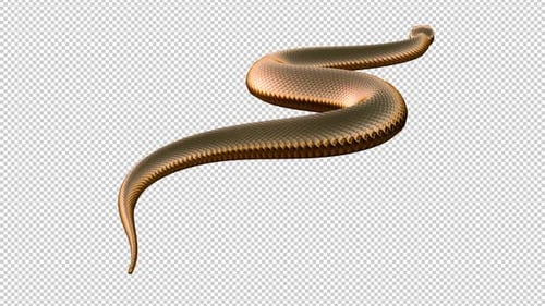 Golden Snake - Fantasy Serpent - Boucle glissante vers le sol - Angle arrière CU - Canal Alpha - 4K