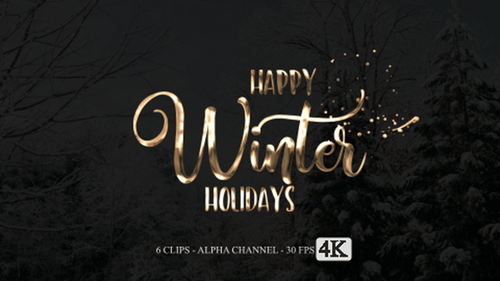 Happy Winter Holidays Animation Text