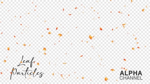 Falling Autumn Leaves with Alpha Channel Overlay
