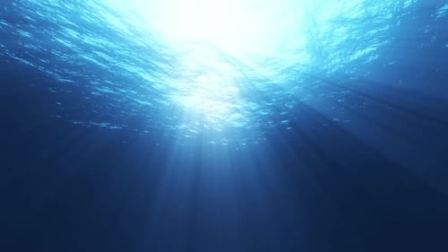 Seamless Loop of Bright Sun Rays Shimmering Underwater Ocean Surface