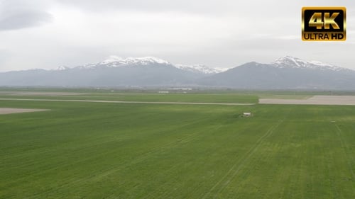 Fields And Snowy Mountains