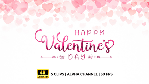 Elegant Happy Valentine's Day Decorative Text Reveal