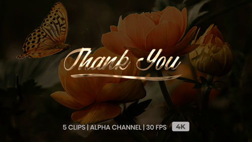 Elegant Metallic Thank You Text Animation