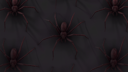 Spinnen, die mit Schatten die Schleife hinunterkriechen