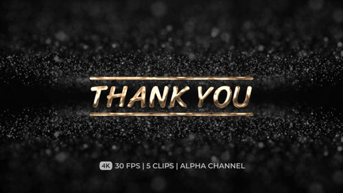 Animated Metallic Thank You Text with Elegant Line Reveal