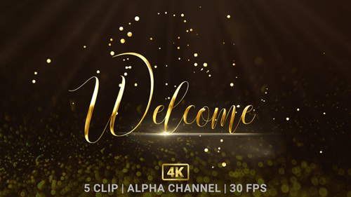 Elegant Metallic Welcome Text Animation with Particle Reveal