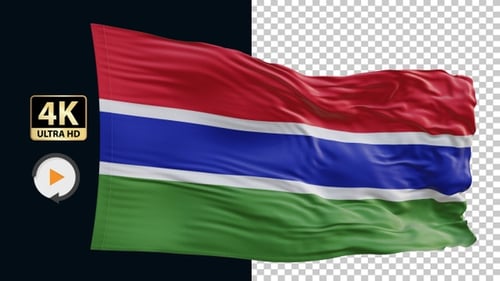 Seamlessly Looping Realistic The Gambia Flag Waving Animation
