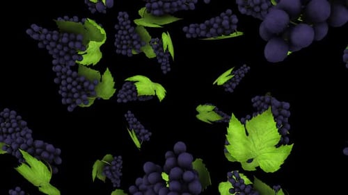 Falling Grapes and Green Leaves Animation