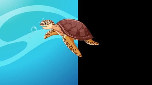 Tortoise Animation