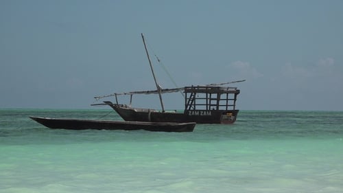 Lot of African traditional wooden boats anchored on shallow water by the beach at low tide, Zanzibar