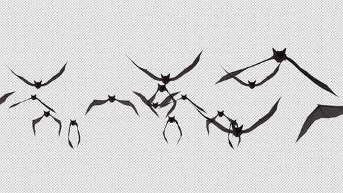 Bats Flying Front View Transparent Background V.6