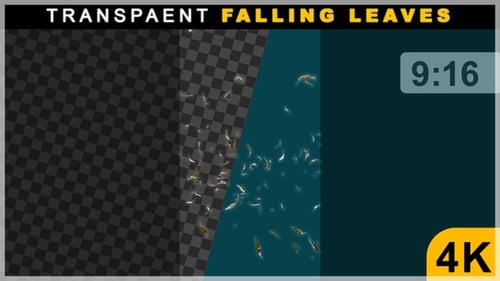 Portrait View of Fall Season Leaves Falling On Ground Animations On Transparent Background
