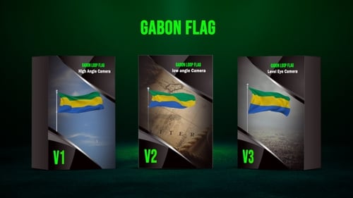 Gabon National Flag Realistic Waving Loop