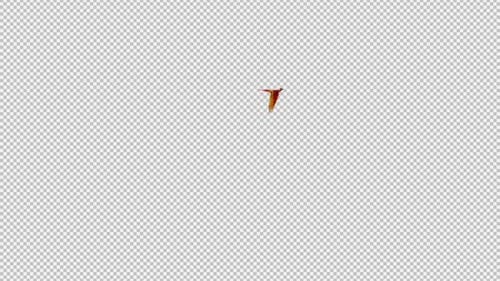 Phoenix Bird - Hot Red - Flying Around - Transparent Loop - Alpha Channel
