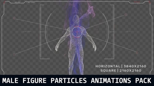 Wireframe Human Body Scan with Futuristic HUD