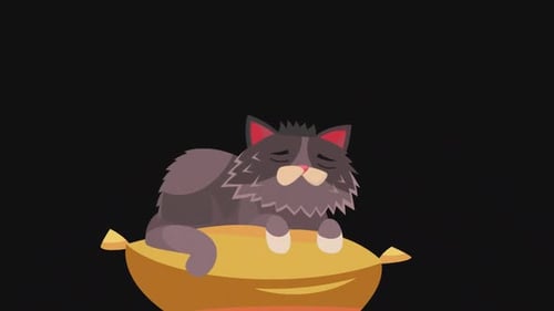Cat sleeping on pillow 2D | Alpha Channel