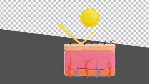 3D-Schutz vor UV-Strahlen der menschlichen Haut | Alpha Channel
