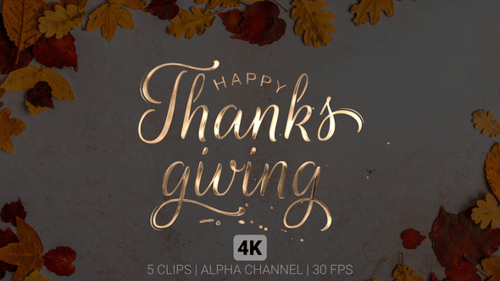 Animated Happy Thanksgiving Gold Script Title Reveal
