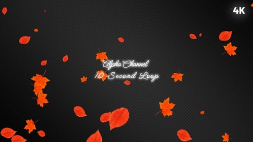Seamless Loop of Falling Red and Orange Autumn Leaves