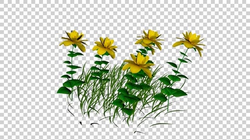 Animated Yellow Flowers and Green Grass Swaying