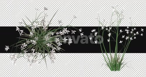 Pack Of 2 Flower Grass Moving In The Wind On Alpha Loop