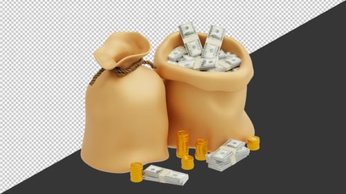 3D Money Bag | Alpha Channel