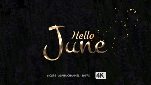 Animationstext „Hallo Juni“