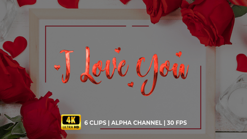Elegant Script 'I Love You' Text Reveal Animation