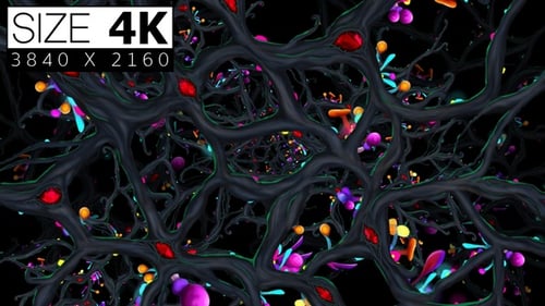 Fluid Abstract Network Loop with Colorful Particles