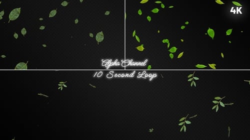 Green Leaves Falling Pack