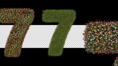 Animación de formación de siete números en 3D con planta
