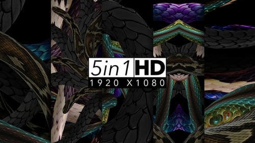 Pack de fête Snake