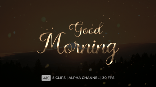 Animated Good Morning Title Reveal in Elegant Gold Cursive