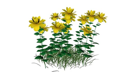 Swaying Yellow Flowers and Green Grass Animation